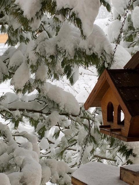 Appartment Lori Wald am Arlberg Dış mekan fotoğraf