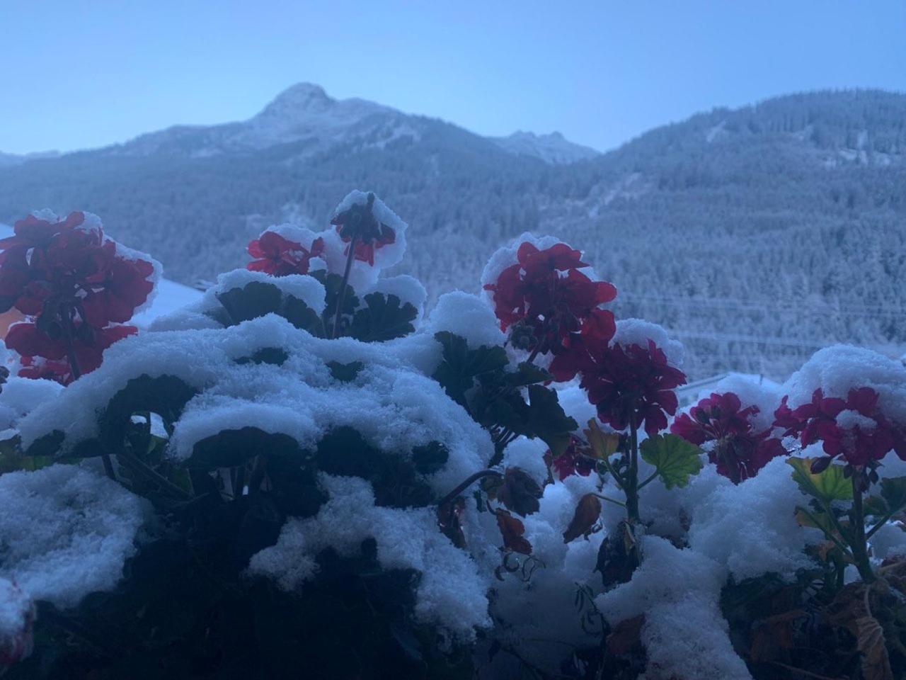 Appartment Lori Wald am Arlberg Dış mekan fotoğraf