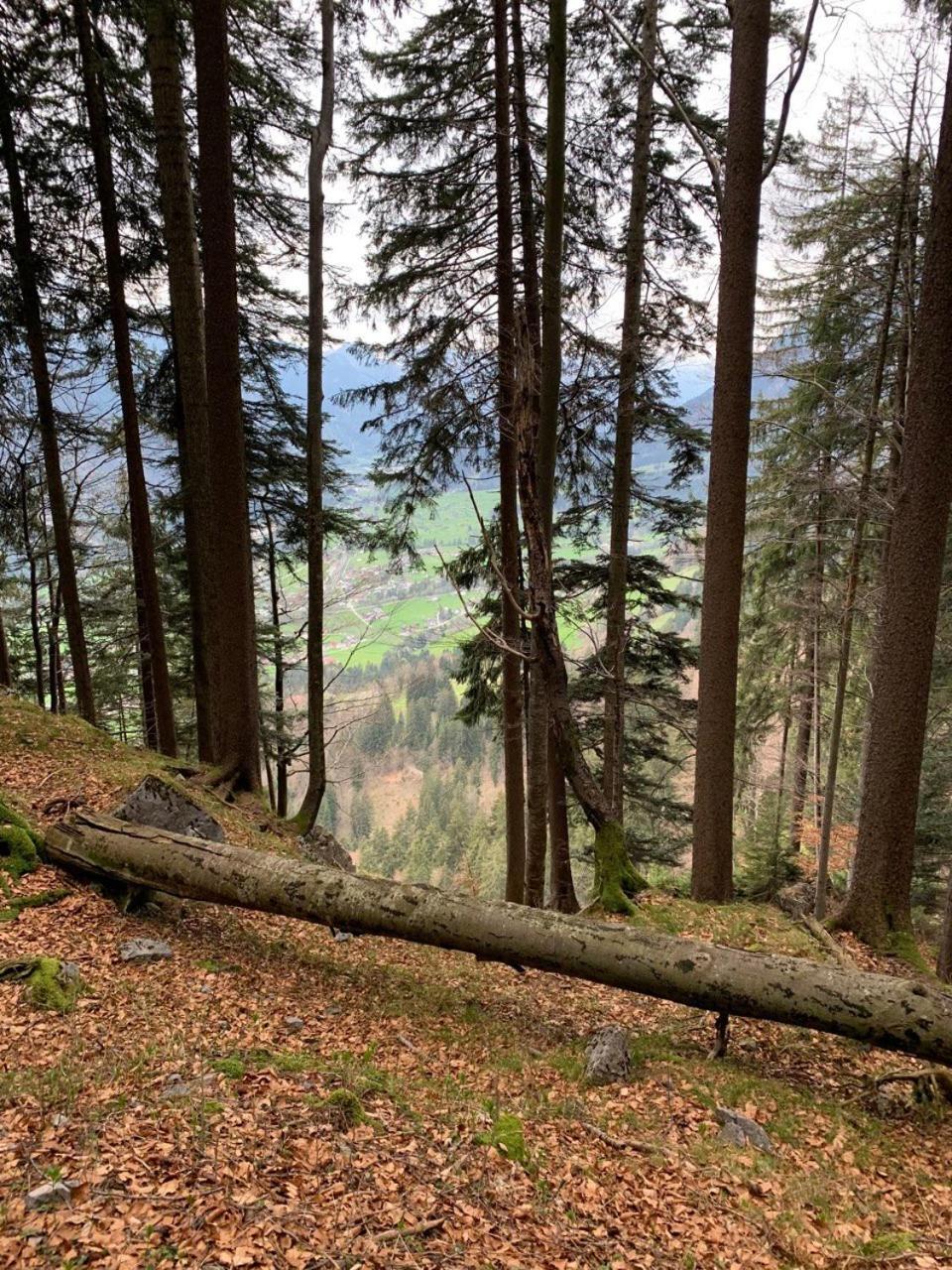 Appartment Lori Wald am Arlberg Dış mekan fotoğraf